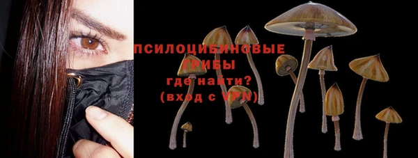 ALPHA-PVP Богородицк